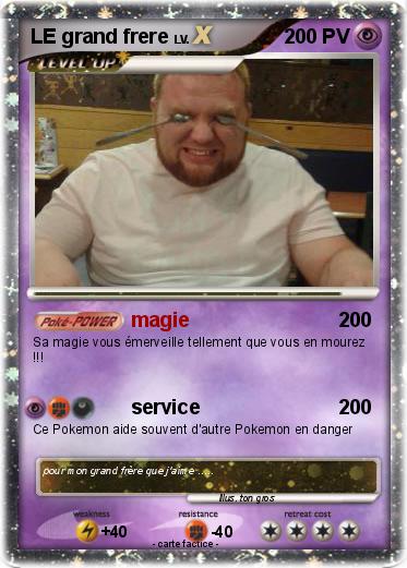 Pokemon LE grand frere