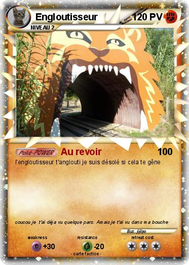 Pokemon Engloutisseur