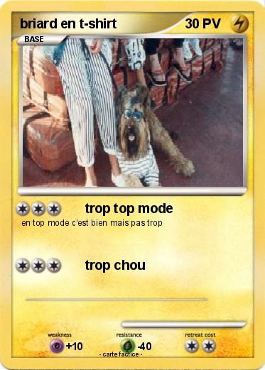 Pokemon briard en t-shirt