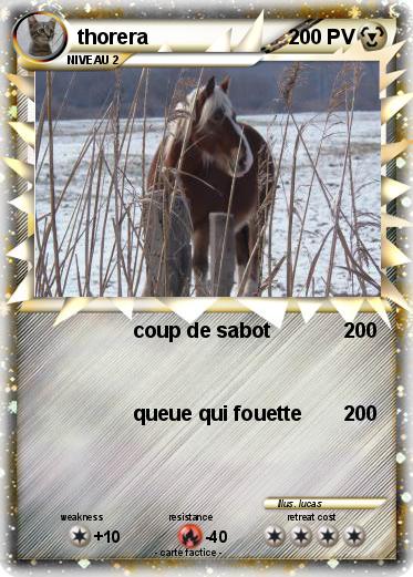 Pokemon thorera