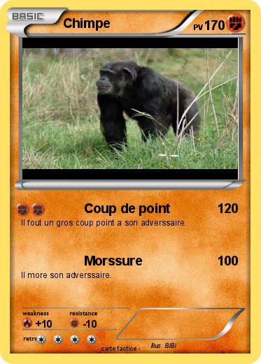 Pokemon Chimpe