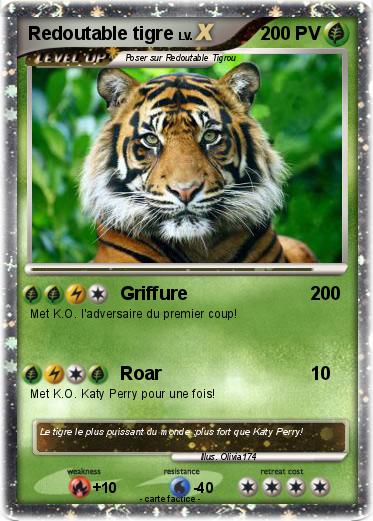 Pokemon Redoutable tigre