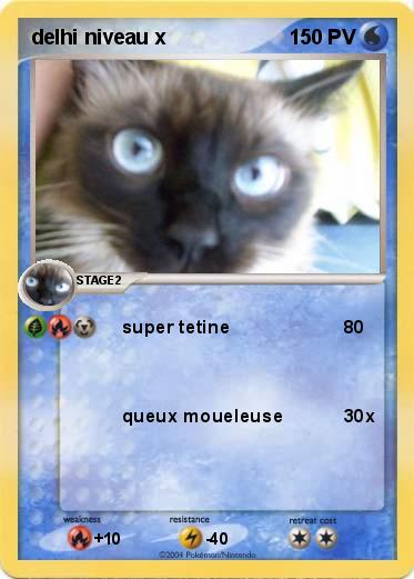 Pokemon delhi niveau x