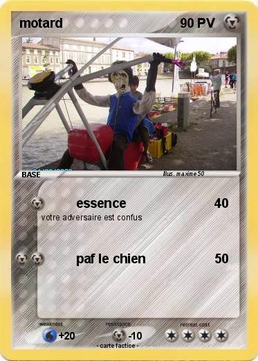 Pokemon motard
