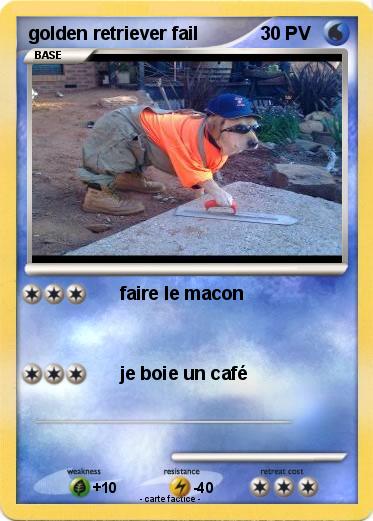 Pokemon golden retriever fail