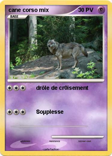 Pokemon cane corso mix