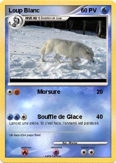 Pokemon Loup Blanc