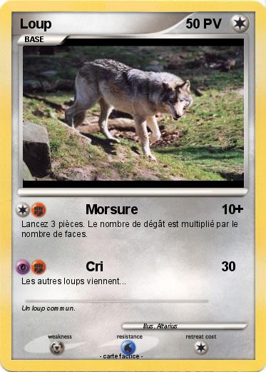 Pokemon Loup