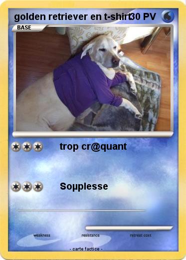 Pokemon golden retriever en t-shirt