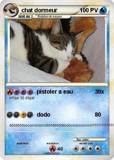 Pokemon chat dormeur