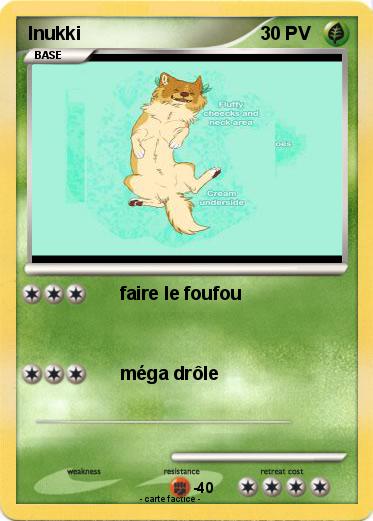 Pokemon Inukki