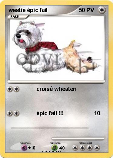Pokemon westie épic fail