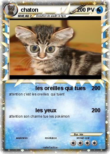 Pokemon chaton