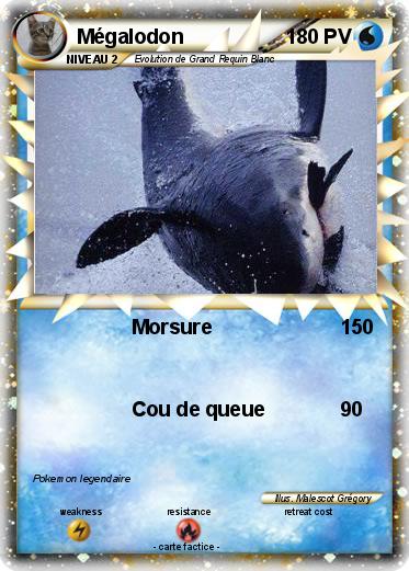 Pokemon Mégalodon