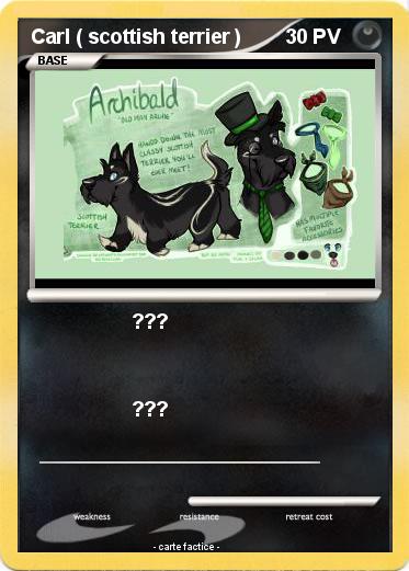 Pokemon Carl ( scottish terrier )