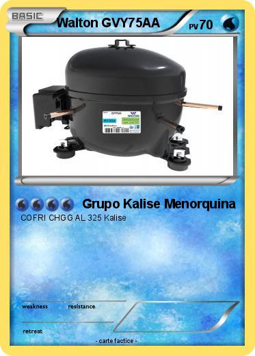 Pokemon Walton GVY75AA