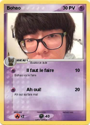 Pokemon Bohao