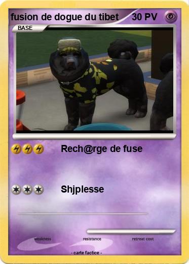 Pokemon fusion de dogue du tibet