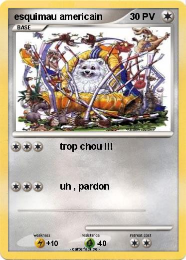 Pokemon esquimau americain
