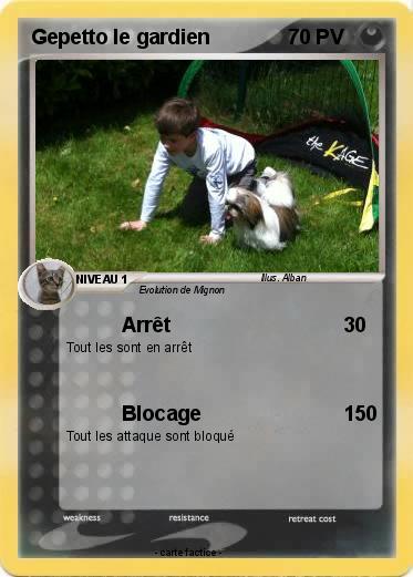 Pokemon Gepetto le gardien