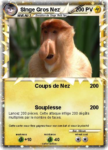 Pokemon SInge Gros Nez