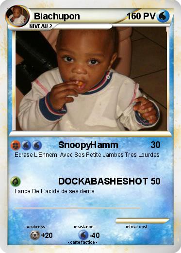 Pokemon Biachupon