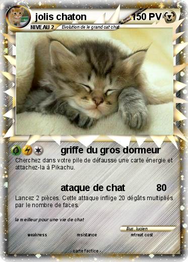 Pokemon jolis chaton