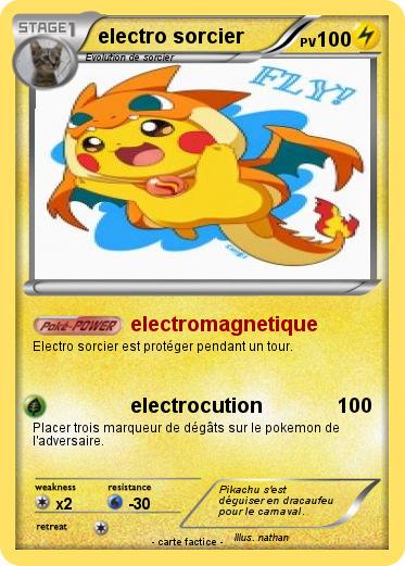 Pokemon electro sorcier