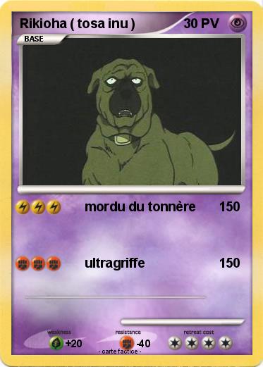 Pokemon Rikioha ( tosa inu )