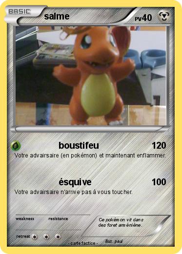 Pokemon salme