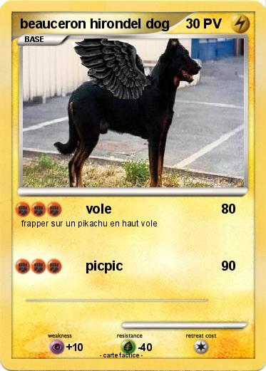 Pokemon beauceron hirondel dog
