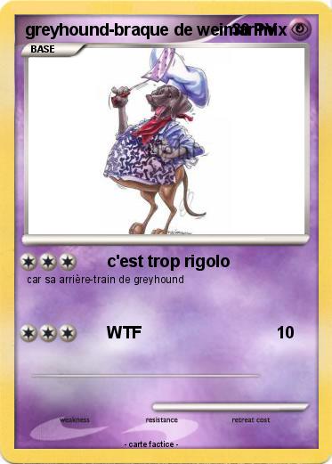 Pokemon greyhound-braque de weimar mix