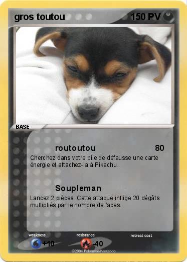 Pokemon gros toutou
