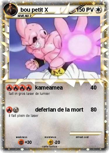 Pokemon bou petit X