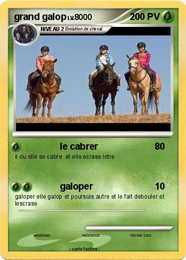 Pokemon grand galop