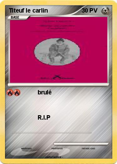 Pokemon Titeuf le carlin