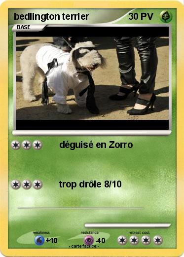 Pokemon bedlington terrier