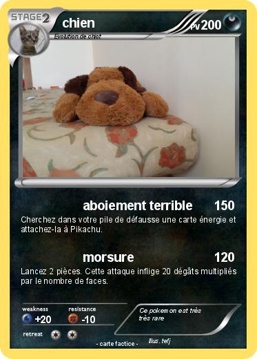 Pokemon chien