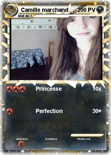 Pokemon Camille marchand
