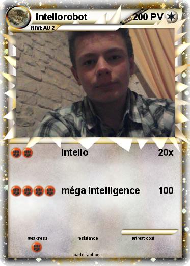 Pokemon Intellorobot