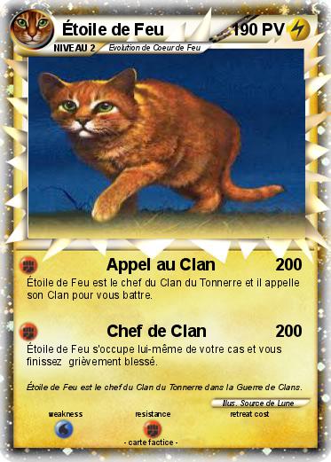 Pokemon Étoile de Feu