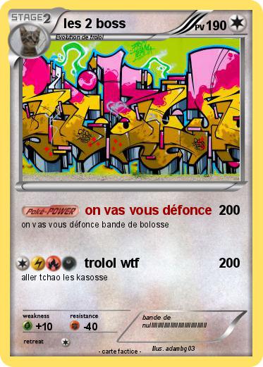 Pokemon les 2 boss