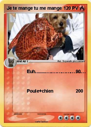 Pokemon Je te mange tu me mange