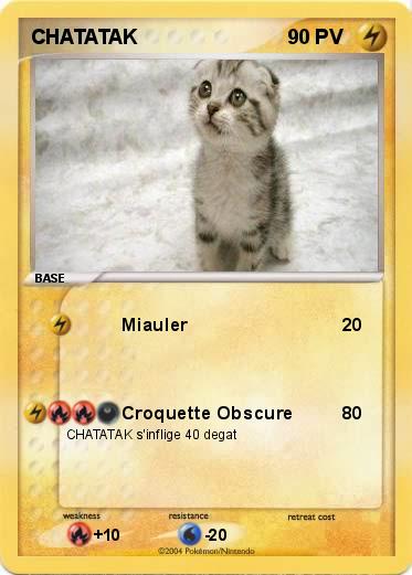 Pokemon CHATATAK