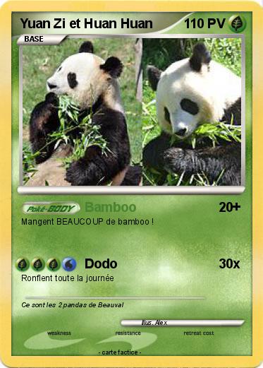 Pokemon Yuan Zi et Huan Huan