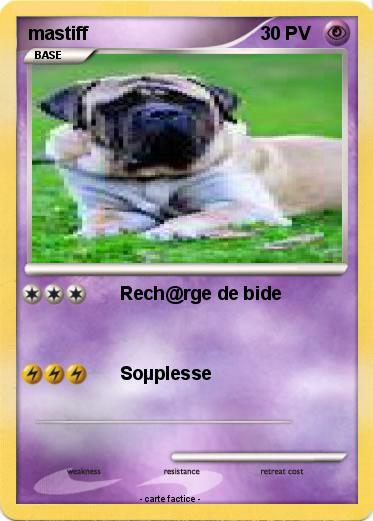 Pokemon mastiff