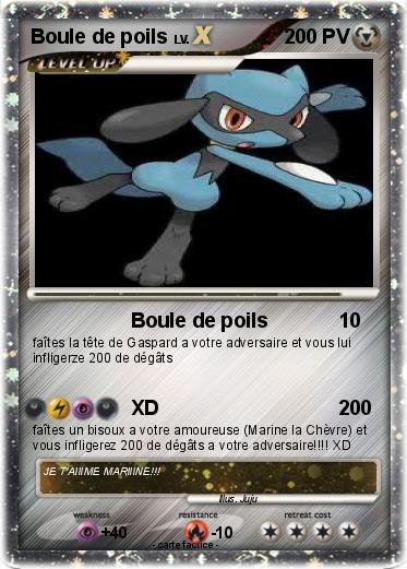 Pokemon Boule de poils