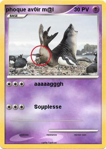 Pokemon phoque av0ir m@l