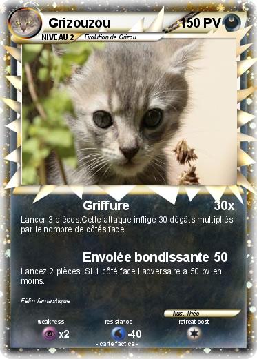 Pokemon Grizouzou
