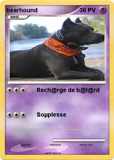 Pokemon bearhound